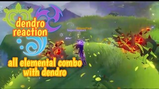 dendro reactions elemental combo