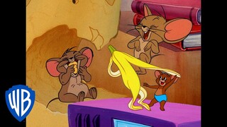 Tom & Jerry | Best Jerry Mouse Moments 🐭 | Classic Cartoon Compilation | @wbkids​