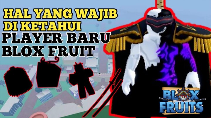 wajib di ketahui player baru Blox Fruit