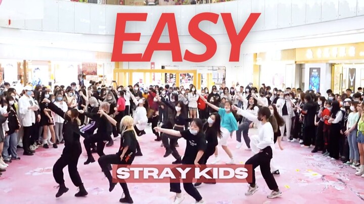 【Stray Kids】Easy Shanghai fans are so strong and sing along to who dances Shanghai's eighth KPOP ran