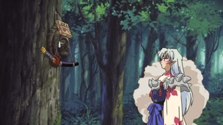 Why is Sesshomaru more popular with girls than InuYasha?