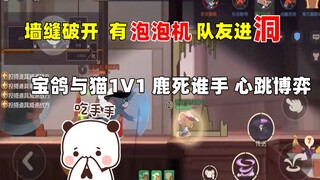 【猫和老鼠手游】墙缝破开有泡泡！宝鸽和猫1V1大战