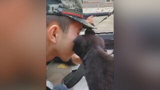 Anh bộ đội đẹp trai ơi ra chơi với em đi mờ dog lovedogs yeuchomeo cute xuhuongtiktok tiktokdieuky trending foryou