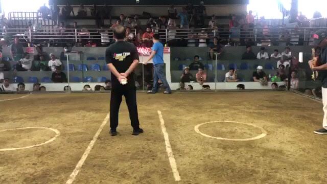 Full show Gold