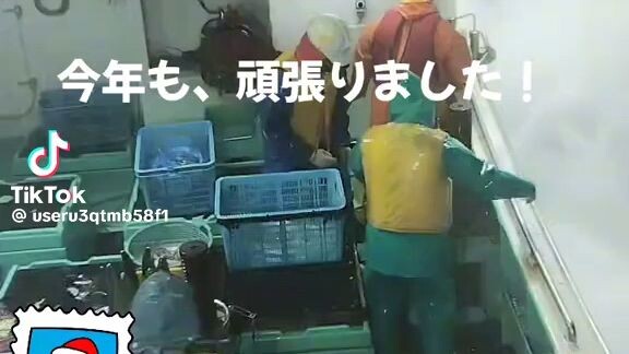 Taisei maru Japan fishing vessll