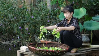 Cuộc sống bình yên nơi làng quê bên gia đình I Mái Nhà Tranh