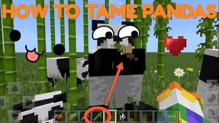 HOW TO BREED PANDAS IN MINECRAFT!