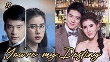 11-You're my Destiny / Tagalog dubbed✔️