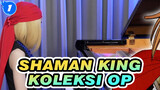 Shaman King| Koleksi OP！Hayashibara Megumi ！SHAMAN KING 2001&2021  Piano Ry_1