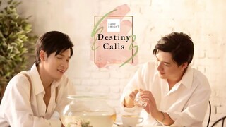 BABY BRIGHT|Destiny Calls