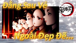 Đằng Sau Vẻ Ngoài Đẹp Đẽ...