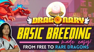 Dragonary - Basic Breeding DEMO, Guide and Costing + Planning for RARE Dragons