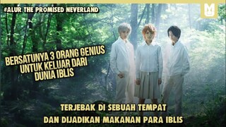 Terjebak Di Dunia Iblis !! SELURUH ALUR CERITA FILM THE PROMISE NEVERLAND LIVE ACTION