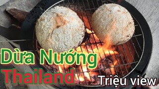 NMS - Món ăn đường phố Dừa nướng thái lan| Thai grilled coconut. #nờmờsờ