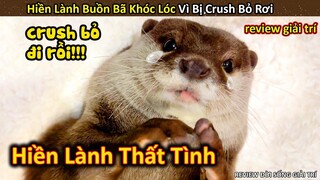 Review Chuyện Tình Cảm Lạnh Của Hiền Lành Khi Bị Crush Bỏ Rơi || Review Giải Trí Đời Sống