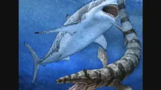 The Megalodon Shark