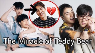 NUEVA SERIE #BL - THE MIRACLE OF TEDDY BEAR - INFORMACION DE LA SERIE