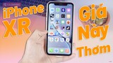 iPhone XR Giá Này Vô Đối Luôn - Cấu Hình, Trải Nghiệm, Pin, Camera Qúa Ngon Trong Năm 2022