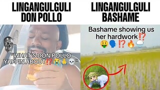 Lingangulguli Don Pollo VS Bashame