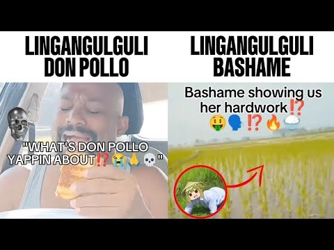 Lingangulguli Don Pollo VS Bashame