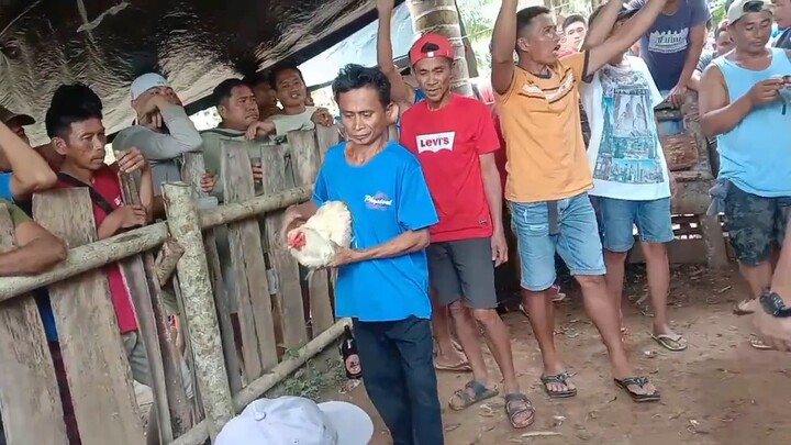 win...15monts.talisay vs 3yrs.abuhon...dehado kaayo sa kwarta...salod ang mga bugoy🤣🤣🤣