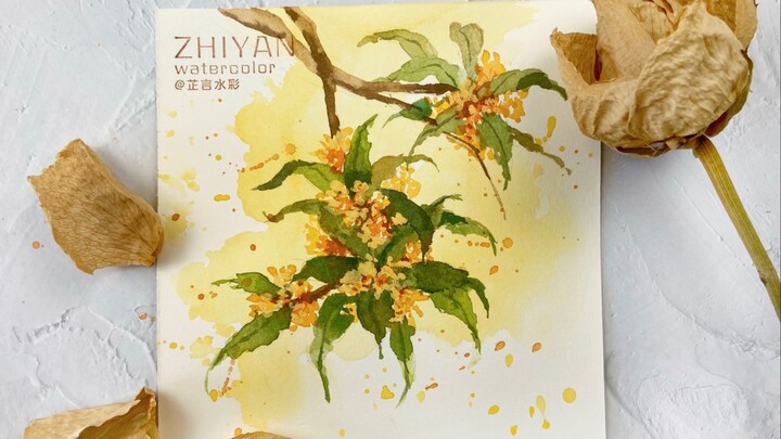 Watercolor Flower Process · Golden Osmanthus Thơm mùa thu | Osmanthus Tutorial Sharing