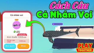 Play Together | Cách Câu Thành Công "CÁ NHÁM VOI" Cực Đơn Giản Và Dễ Dàng ^^