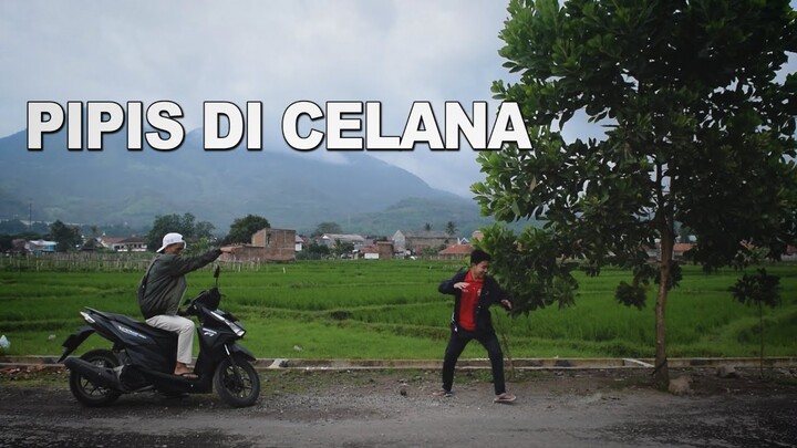 PIPIS DI CELANA