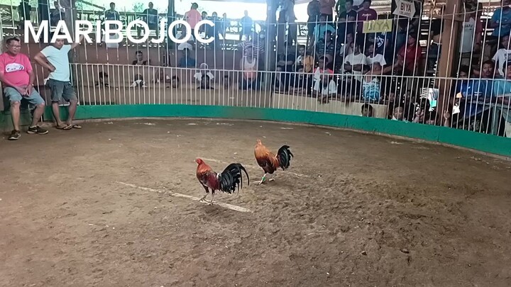 naunahan man pero bumawi. 2hits ulotan