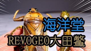 可以吃的水中霸王？【海洋堂】revogeo立体图鉴-大田鳖 开箱评测