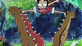 perjuangan Luffy untuk jadi teman Aceng lucu banget