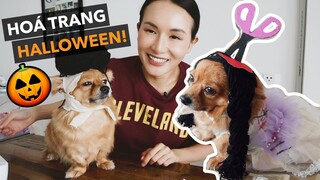 Hoàng biến thành búp bê ghê rợn chơi Halloween 🎃