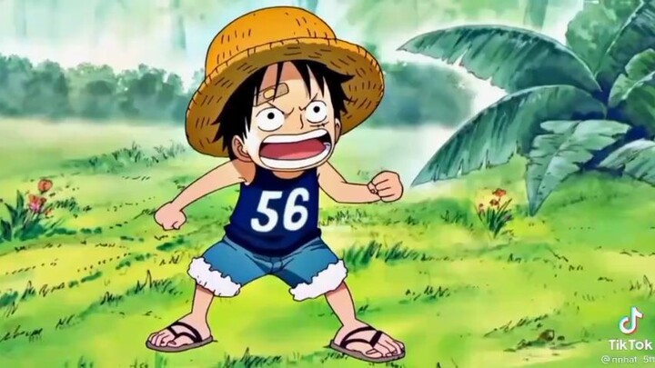 quá khứ kia của luffy