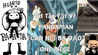 ONE PIECE|Tất Tần Tật Về PANDAMAN - "HUYỀN THOẠI" CỦA ONE PIECE|Hồ Sơ Nhân Vật #25|GSANIME.