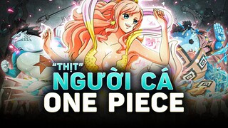 ONE PIECE | NGƯỜI CÁ & NHÂN NGƯ - CÙNG LÀ CÁ NHƯNG CÓ CÁI GÌ ĐÓ LÀ LẠ