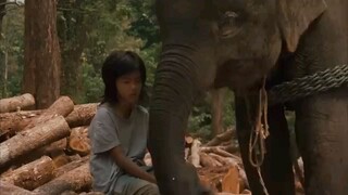 My_Elephant_Best_Friend__Full_Movie(360p)