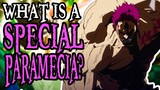 What is a Special Paramecia? | One Piece Discussion