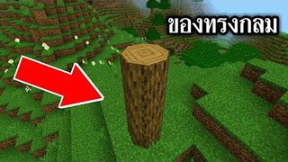 ของทรงกลม!! ในมายคราฟ (ห้ามพลาด) | Minecraft PE