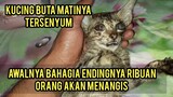 Subhanallah Kucing Buta Ini Mati Dengan Keadaan Tersenyum Inna lillahi wa inna ilaihi raji'un.!