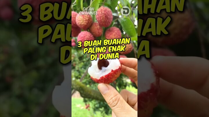 3 Buah buahan paling enak di dunia, nomer 3 rasanya enak banget!!