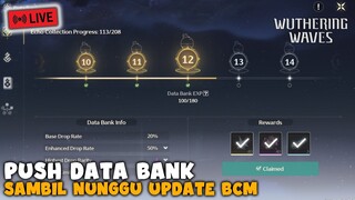 Nunggu Update Bcm Sambil Puss Data Bank - Wuthering Waves