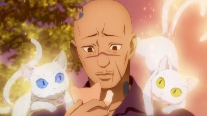 [The Visible Girl] Follow-up to the man adopting a kitten: Gentle people will eventually be treated 