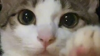 hiii