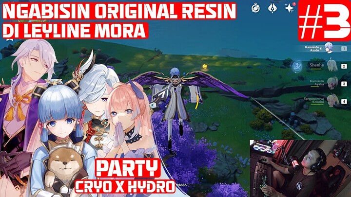Ngabisin Resin Bersama Party Cryo x Hydro | Genshin Impact