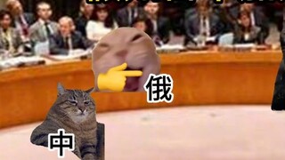 【Cat meme】If Japan asks to join the five permanent members