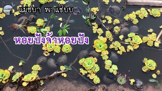 พามาชมหอยปังที่สวนแม่ชบาพาแซ่บจ้า | แม่ชบา พาแซ่บบ