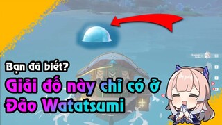 Giải đố này chỉ có ở Đảo Watatsumi | Bạn Đã Biết??? Genshin Impact