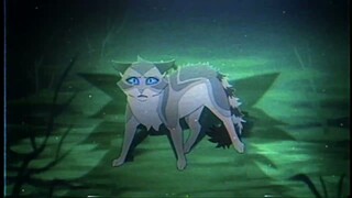 Who are you ? - Hawkfrost & Ivypool