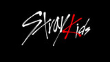 [Cover] Stray Kids - 'MIROH' - Kỷ niệm một năm Stray Kids debut