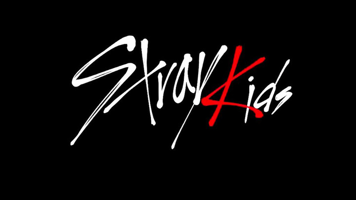 [ดนตรี]【Stray kids ครบรอบเดบิวต์1ปี】คัฟเวอร์เพลง "MIROH" ไวสุดเพราะสุด